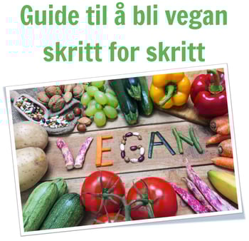 Guide til sunn mat og å bli vegan, skritt for skritt